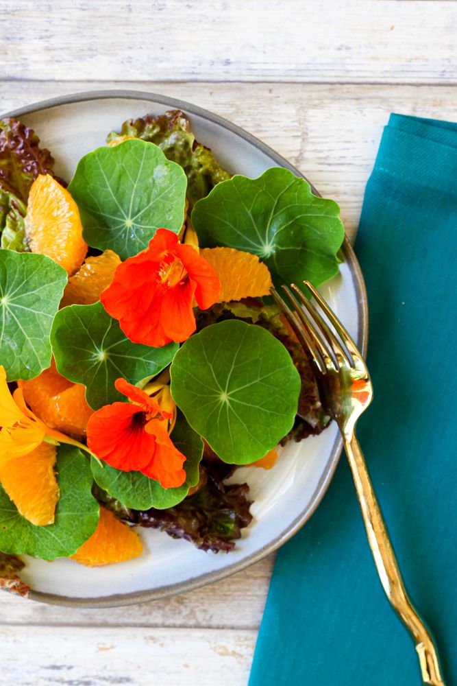 Flowers for Breakfast How to Use Edible Blooms in Your Dishes and Drinks